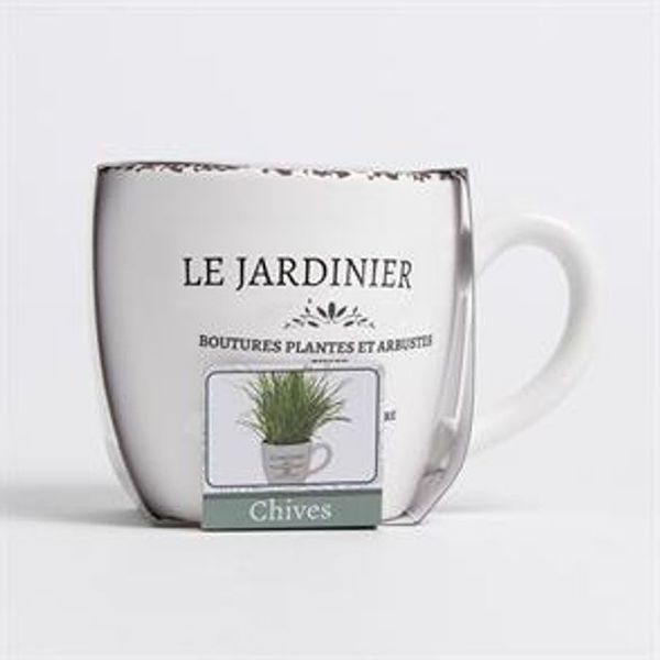 Save 44% - Bee's Seeds: Le Jardinier Herb Grow Set - Basil