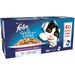 Felix As Good As It Looks Mixed Selection in Jelly Cat Food 40 x 100g