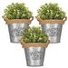 Save 70% - 3 x Vintage Zinc Plant Garden Flower Pot Holder Basket Wall Outdoor Indoor Decor