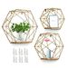 AGSIVO Set of 3 Floating Shelves Wall Mounted, Floating Hexagonal Shelves Rustic Metal Wire Storage Shelves Display Racks Home Decor Wall Shelve for Living Room, Office, Bedroom, Bathroom, Gold