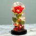 Beauty and the Beast Rose Kit, Red Silk Rose and LED Light for Valentine's Mother Day Birthday Party Wedding Anniversary Day Gifts