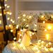 Globe String Lights, Fairy Lights Battery Powered 8M 80 LEDs USB Plug in with Remote, Outdoor Indoor Festoon Lights for Bedroom Christmas Garden Patio Gazebo and Wedding Decor - Warm White