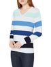 Amazon Essentials Women's 100% Cotton Long-Sleeve V-Neck Sweater
