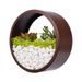 Save £1.00 - Ecosides Wall Vase Terrarium,Modern Round Metal Iron Glass Wall Hanging Planter Wall Plants Holder Flower Pot Container Wall Art Decor - for Planting Air Plants, Succulent,Moss(Brown,6")