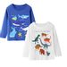 Boys Long Sleeve Tops Tee Shirt Cotton Casual Warm Graphic Dino Cartoon T-Shirts Packs Set