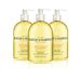 Baylis & Harding Sweet Mandarin and Grapefruit Hand Wash, 500 ml, Pack of 3 (Packaging May Vary)