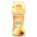 Lenor Gold Orchid in Wash Scent Booster